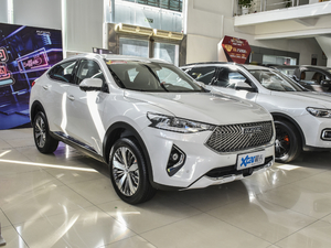 2021款1.5T 两驱极智科技版 整体外观