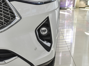 2021款1.5T 两驱极智科技版 前雾灯