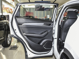 2021款1.5T 两驱极智科技版 左后车门