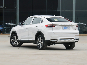 2021款2.0T 两驱极智潮玩版 左后45度
