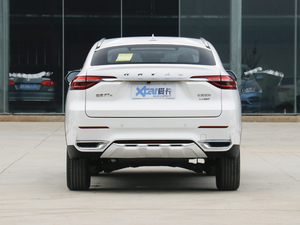 2021款2.0T 两驱极智潮玩版 正后	