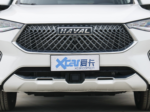 2021款2.0T 两驱极智潮玩版 中网