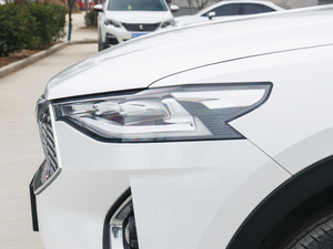 20212.0T (q)Oǳ (x)(ji)^