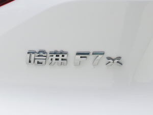 2021款2.0T 两驱极智潮玩版 细节外观