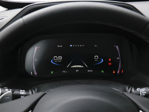 2021款2.0T 两驱极智潮玩版 仪表