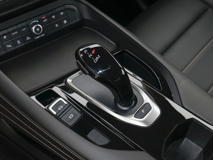 2021款2.0T 两驱极智潮玩版 换挡杆
