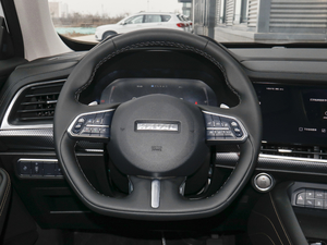 2021款2.0T 两驱极智潮玩版 方向盘