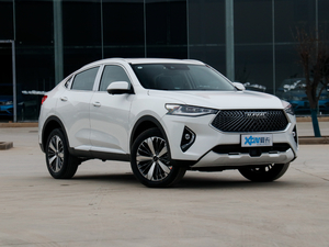 2021款1.5T 两驱极智潮玩版 整体外观
