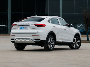2021款1.5T 两驱极智潮玩版 整体外观