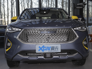2021款2.0T 四驱极智性能版 中网