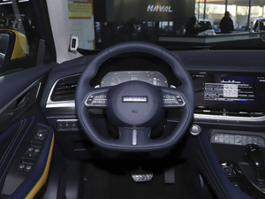 2021款2.0T 四驱极智性能版 方向盘