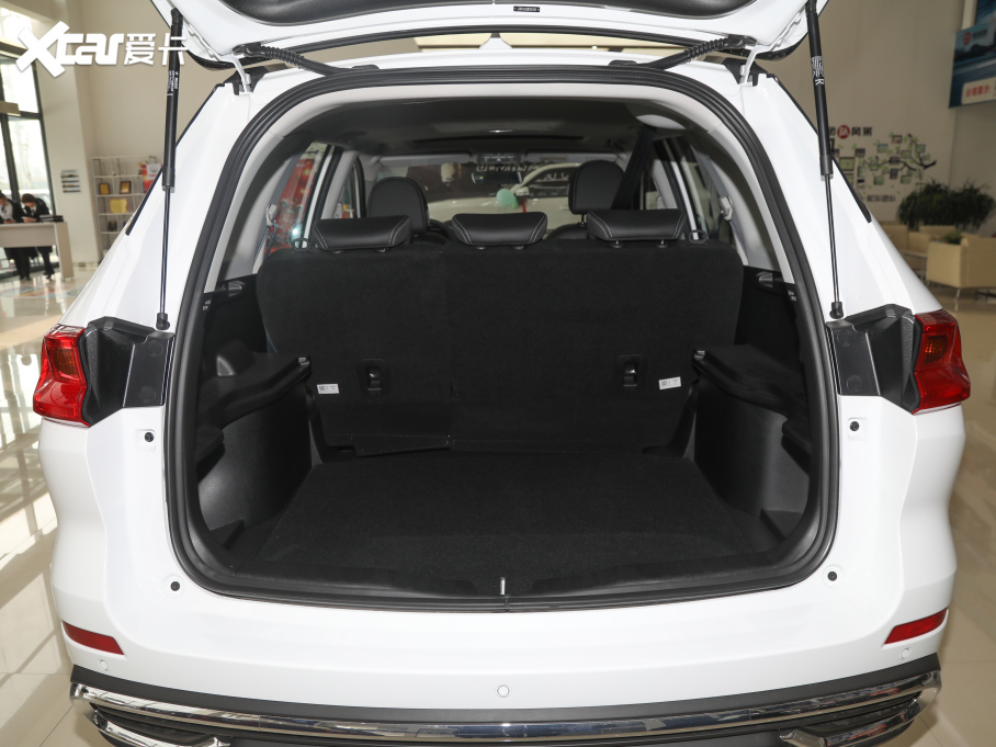 2021M6 PLUS 1.5T DCTF(lin)