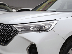 2021PLUS 1.5T DCTӢ(lin) (x)(ji)^