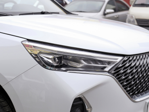 2021PLUS 1.5T DCTӢ ^