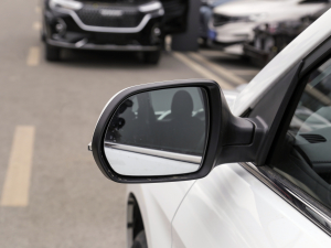 2021PLUS 1.5T DCTӢ ^