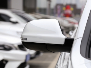 2021PLUS 1.5T DCTӢ ^