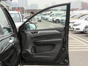 2021PLUS 1.5T DCTA(lin) g