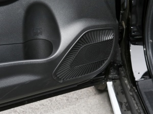 2021PLUS 1.5T DCTA(lin) g