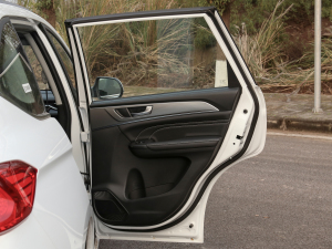 2021PLUS 1.5T քӺA g