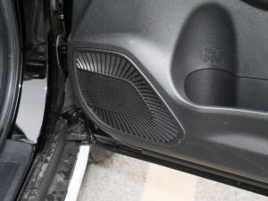 2021PLUS 1.5T DCTA(lin) g