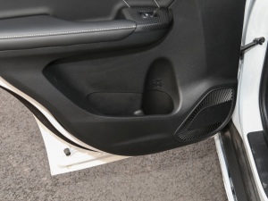 2021PLUS 1.5T քӺA g