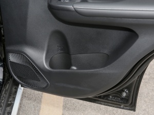 2021PLUS 1.5T DCTA(lin) g