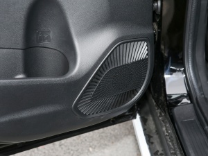 2021PLUS 1.5T DCTA(lin) g