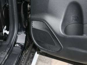 2021PLUS 1.5T DCTA(lin) g