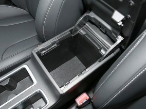 2021PLUS 1.5T DCTA(lin) g