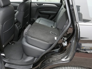 2021PLUS 1.5T DCTA(lin) g