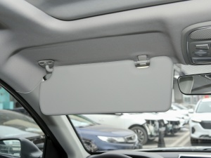 2021PLUS 1.5T DCTA(lin) g