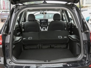 2021PLUS 1.5T DCTA(lin) g