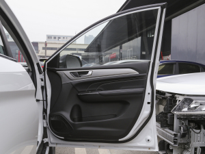 2021PLUS 1.5T DCTӢ g