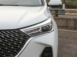 2021PLUS 1.5T քӾӢ(lin) 