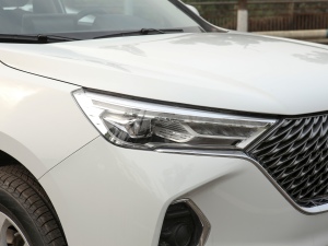 2021PLUS 1.5T քӾӢ(lin) (x)(ji)^