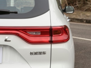 2021PLUS 1.5T քӾӢ(lin) β