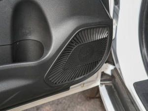 2021PLUS 1.5T ք(dng)Ӣ(lin) g