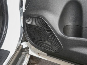 2021PLUS 1.5T ք(dng)Ӣ(lin) g