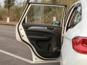 2021PLUS 1.5T քӾӢ ܇T