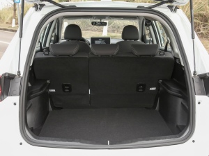 2021PLUS 1.5T քӾӢ(lin) g