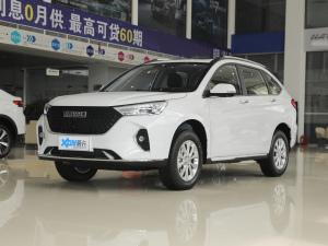 2021PLUS 1.5T DCTF(lin) ǰ45