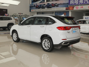 2021PLUS 1.5T DCTF(lin) 45