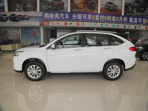 2021PLUS 1.5T DCTF(lin) (c)