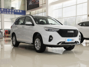 2021PLUS 1.5T DCTF(lin) w^