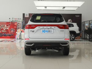 2021PLUS 1.5T DCTF(lin) 	