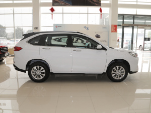 2021PLUS 1.5T DCTF(lin) w^