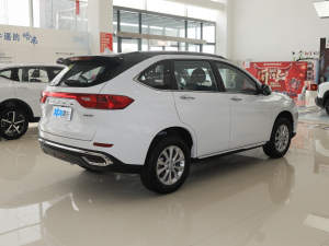 2021PLUS 1.5T DCTF(lin) w^