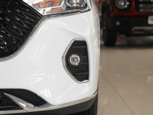 2021款PLUS 1.5T DCT尊贵智联型 前雾灯