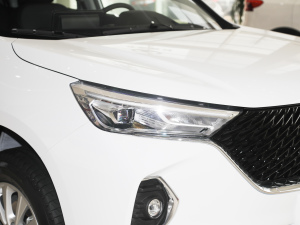 2021PLUS 1.5T DCTF ^