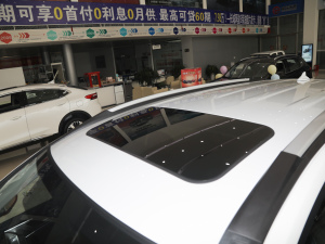2021款PLUS 1.5T DCT尊贵智联型 车顶